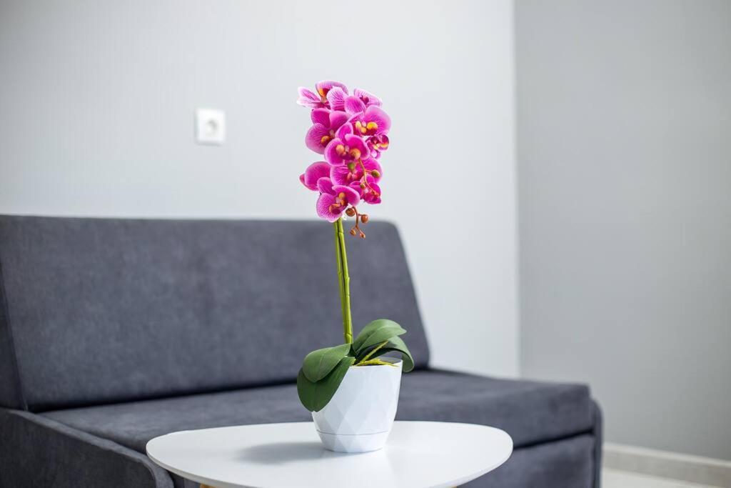 Pelagias Apartments Rhodes City Zewnętrze zdjęcie